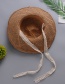Fashion Brown Lace Hat And Straw Hat