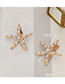 Fashion Gold Starfish Hairpin Hairpin