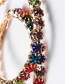 Fashion 5th Color Acrylic Large Circle Diamond Earrings