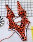 Fashion Nylon Leopard-print Hollow Straps One-piece Swimsuit