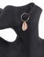 Fashion Gold Shell Circle Earrings