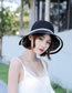 Fashion Gray Big Sun Hat