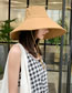 Fashion White Big Hat Sun Hat