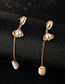 Fashion Gold Alloy Shell Pearl Tassel Shell Earrings