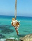 Fashion Gold Alloy Conch Necklace