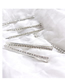 Fashion 1 Silver Crystal Diamond Hair Clip Set