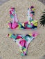 Tube Top Block Floral One-shoulder Ruffled Bikini