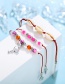 Fashion Color Shell Flamingo Beaded Anklet Three Piece Set