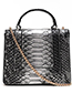 Fashion Silver Snakeskin Pattern Bag