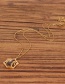 Fashion Gold Spider Micro-drilled Zircon Necklace