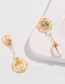 Fashion Gold Drops Of Oil Shells Wrapped In Natural Shell Earrings
