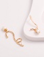 Fashion Gold Wrap Natural Freshwater Pearl Earrings