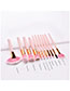 Fashion Pink Gold 11-piece Fan-shaped Makeup Brush