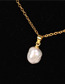 Fashion Gold Shaped Natural Pearl Stainless Steel Plated Necklace