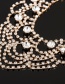 Fashion Silver Patterned Diamond Collar