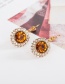 Fashion Gold + Dark Brown Diamond Round Stud Earrings