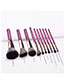 Fashion Purple Color 10 Stick Makeup Brush
