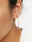 Fashion Gold Stainless Steel Circle Earrings