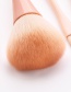 Fashion Pink 10 Sticks Small Waist Makeup Brush