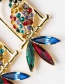Fashion Color Acrylic Diamond Parrot Bird Cage Full Of Diamond Earrings