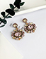 Fashion Pink Alloy Diamond Oval Shape Earrings