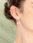 Fashion Drip Fish Tail Gold Crystal Diamond Drop Pearl Earrings