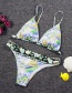 Fashion Color Printed Quick-drying Split Swimsuit