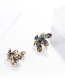 Fashion Gold Alloy Diamond Insect Brooch 6 Packs