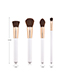 Fashion White + Gold 4 Sticks With Wooden Handle Brush
