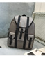 Fashion Gray Ribbon Buckle Backpack
