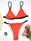 Fashion Watermelon Multicolor Bikini