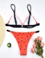 Fashion Watermelon Multicolor Bikini