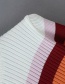 Fashion Black Striped Color Turtleneck Sweater
