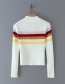 Fashion White + Wine Red Striped Color Turtleneck Sweater