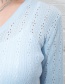 Fashion Light Blue Knitted Top