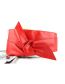 Fashion Rose Red Ribbon Bow Wide Belt