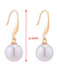 Fashion Purple Small Ball Pearl Earrings