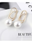 Fashion Gold Plated Gold-plated Paper Clip Pearl  Silver Needle Earrings
