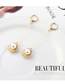 Fashion 14k Gold Plated Gold Fringed Shell Pearl  Silver Needle Earrings