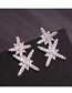 Fashion Silver Copper Micro-inlaid Zirconium Flower Earrings