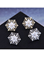 Fashion Silver Snowflake Geometric Stud Earrings