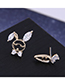 Fashion Rose Gold Asymmetric Stud Earrings With Zircon And Rabbit Radish