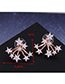 Fashion Rose Gold Star Stud Earrings With Diamonds