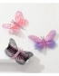 Fashion Color Small Butterfly Hairpin