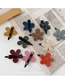 Fashion Flower - Coffee Color Star Flower Hair Clip