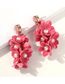 Fashion Watermelon Red (drill) Alloy Pearl Flower Earrings