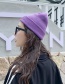 Fashion 23 Label Purple Pointed 23 Labeling Knitted Wool Cap