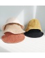 Fashion Thin Strip Of Chenille Black Chenille Wool Cap