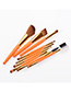 Fashion Orange 9 Stick Makeup Brush