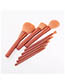 Fashion Pink 8 Sticks - Pink - Spray - Makeup Brush